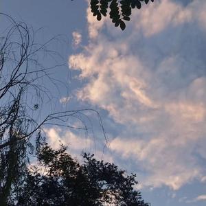 漫画㊙️㊙️㊙️㊙️
